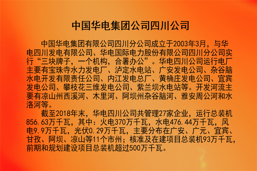 中国华电集团公司四川公司.png