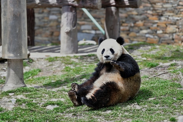 WPS图片(4).jpeg